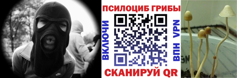 как найти закладки  Ряжск  Галлюциногенные грибы Psilocybe 